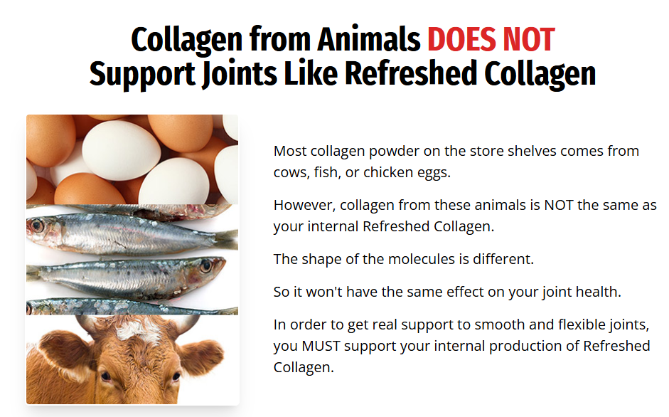 Collagen Refresh Review
