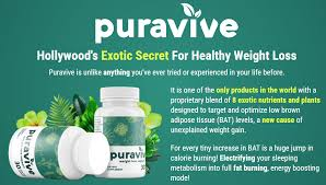 Puraviv review