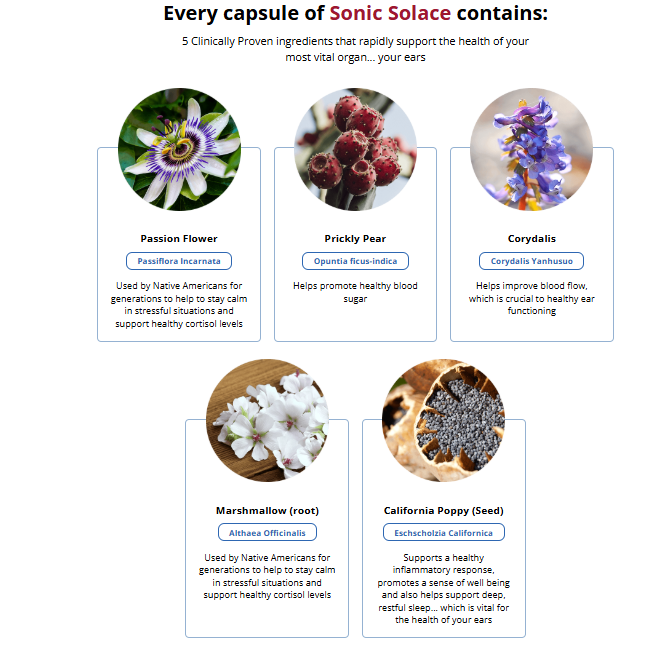 Sonic Solace review– The Hottest New Ear Health Offer