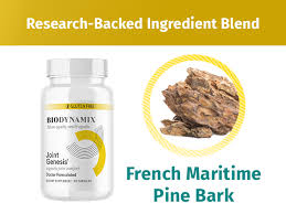 Joint Genensis Review