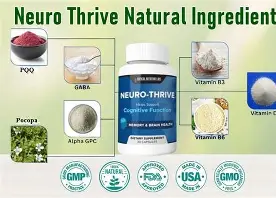 Neuro Thrive Review