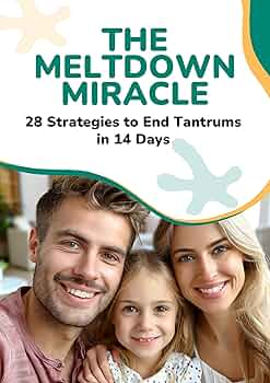 The Meltdown Miracle Review: